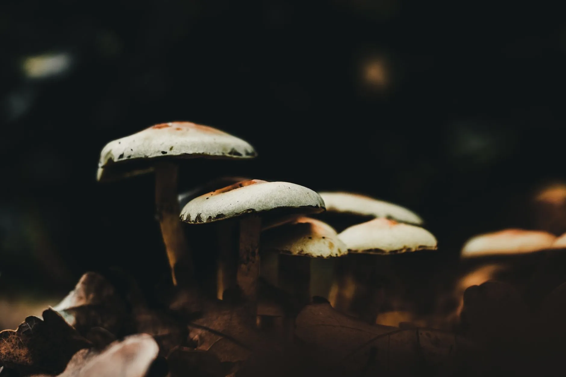 万用表与钳形表在电气线路检测中的选型要点与使用规范